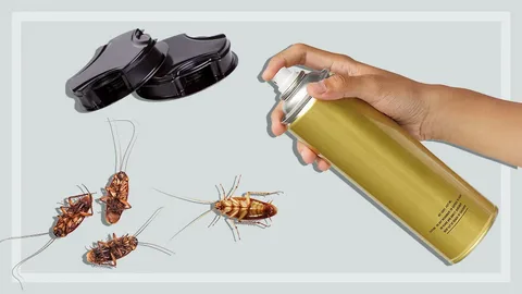 Factors That Affect Roach Pest Control Pricing in Grand Prairie, TX - Pest Control Near me