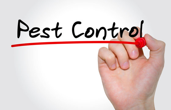 Pest Control Cost in Grand Prairie, Texas