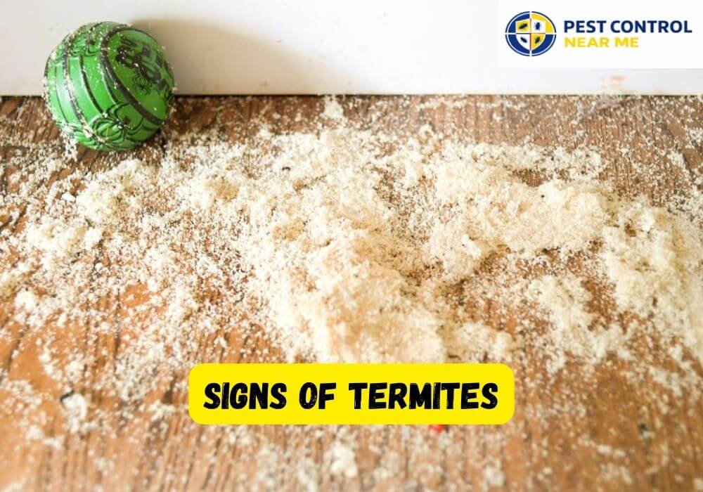 Signs of Termites Damage in Texas - Pest Control Near Me