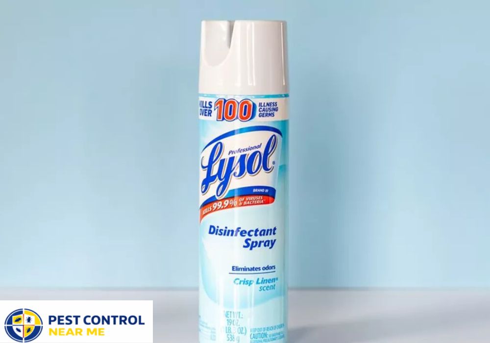 Does Lysol Kill Ants Instantly - Pest Control Near Me Grand Prairie, TX | Pest Control Near Me in Texas