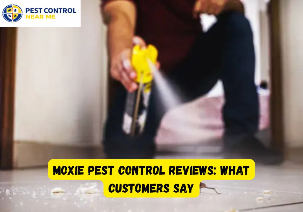 Moxie Pest Control Reviews What Customers Say