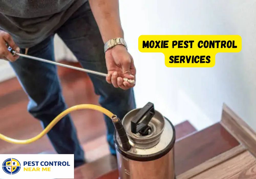 Moxie Pest Control Services