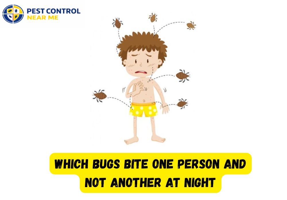 Which Bugs Bite One Person and Not Another at Night - Pest Control Near Me